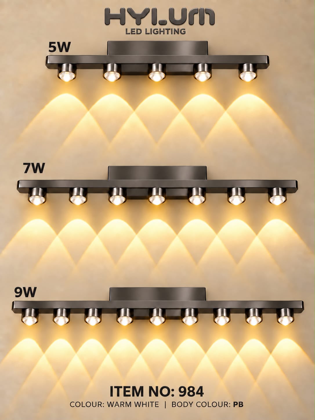 PICTURE LIGHT – MIRROR LIGHT (PICTURE LIGHT) – 984
